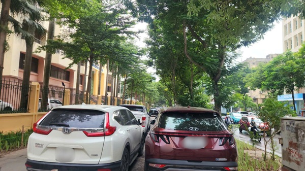 Xe ô tô đỗ dàng hàng trên vỉa hè đường Huỳnh Thúc Kháng, Hà Nội. Ảnh: Minh Hạnh 